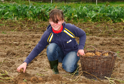 10thieleschenke_1042234